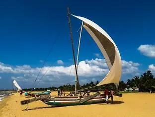 Sea Breeze Deluxe Inn Negombo 2*,  Šrí Lanka